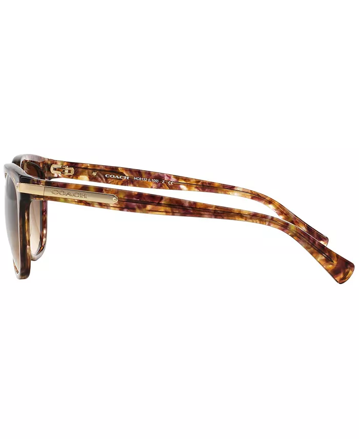 COACH Sunglasses HC8132 Women's Fashion Shoes & Accessories