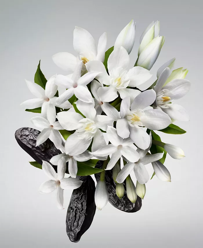 Carolina Herrera 3-Pc. Good Girl Eau De Parfum Gift Set Beauty