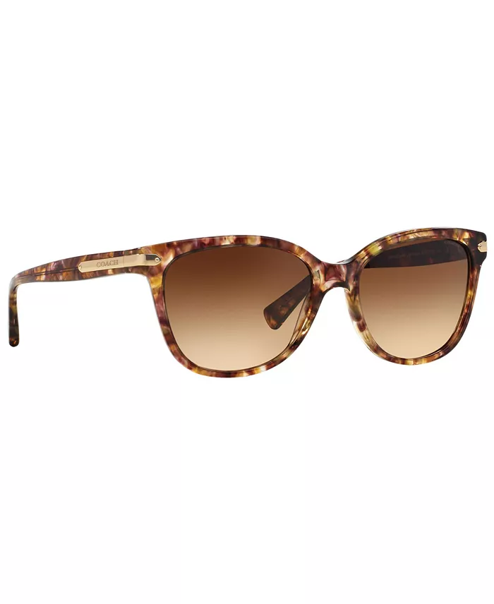COACH Sunglasses HC8132 Women's Fashion Shoes & Accessories