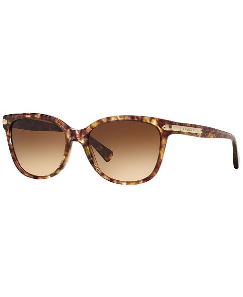 COACH Sunglasses HC8132 Women's Fashion Shoes & Accessories
