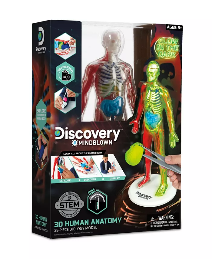 Discovery #MINDBLOWN CLOSEOUT 3D Human Anatomy 28-Piece Biology Model All Toys
