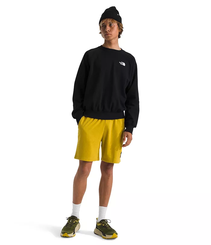 The North Face Men's Evolution Crewneck Sweatshirt Men's Fashion & Accessories