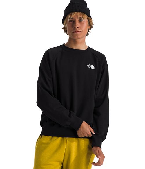 The North Face Men's Evolution Crewneck Sweatshirt Men's Fashion & Accessories